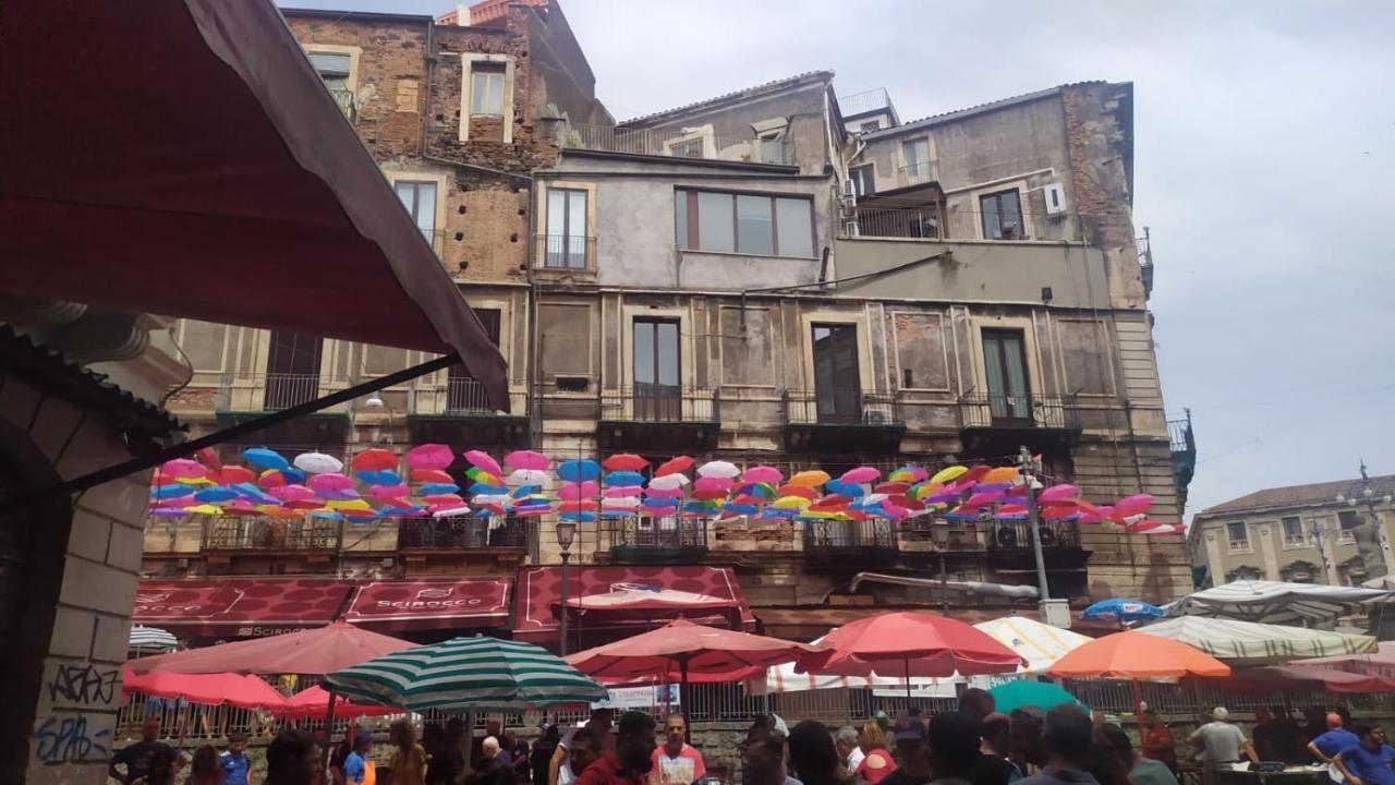 La Casa Di Orlando *